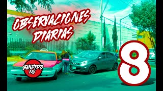 OBSERVACIONES DIARIAS NO. 8 // 🐕 PERRO MOCHILERO,  💥CH0QU3S, 🚗 LAMINAZOS Y DEMÁS.