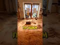 Самое УНИКАЛЬНОЕ Кафе!😱  #человек #шуточное #юмор #прикол