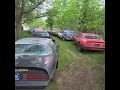 Amazing Trans Am Hoard in IA!