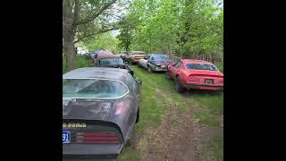 Amazing Trans Am Hoard in IA!