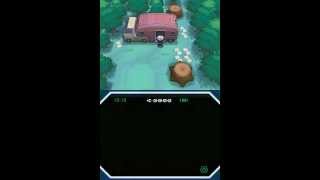 Demo: Warp Scripting in Pokemon B/W Net Worth