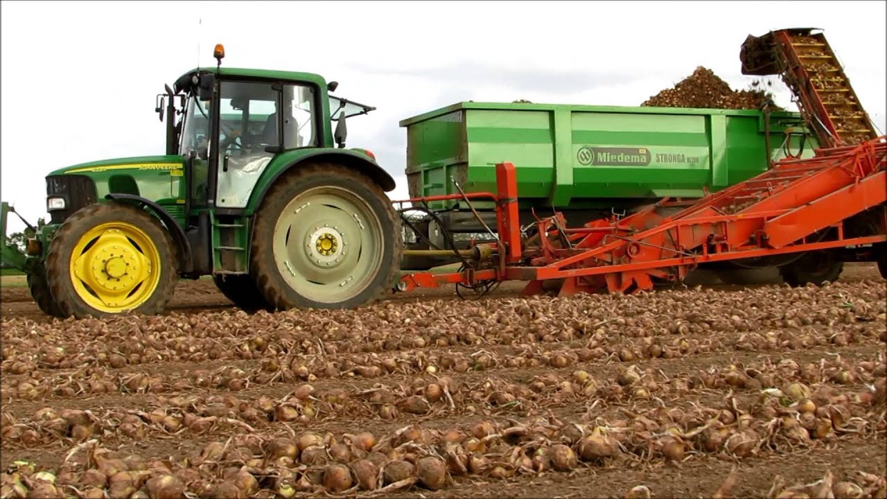 Akkerbouwbedrijf Burgers Uien laden