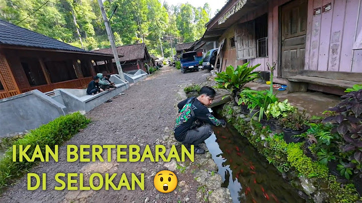 Suasananya Seperti Jaman Dahulu !! Perjalanan Ke Kampung STAMPLAT GIRANG Indragiri