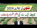 First month requirements of sesame crop 2024  crop reformer