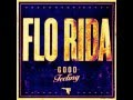 Flo Rida-Good Feeling (Bass Drop)