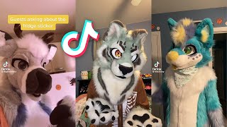 Furry TikTok's I Watch Instead Of Sleeping