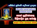 පහන් පැළක් නිවැරදිව සැකසීම | Gambara Siddha Suniyam Deviyo | Gambhara Sidda Suniyam deviyan