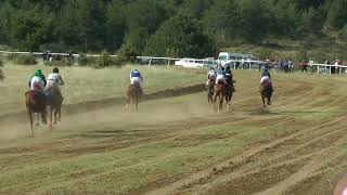 İngi̇li̇z Atlari B Taşköprü 21.08.2022