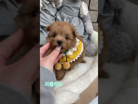 part. 18 아이들의 분리불안 원인과 해결방안!!