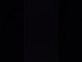 12 August 2024 12 August 2024