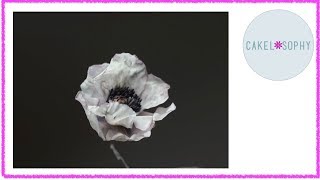 : Poppy Flower: How to make it in  Sugar or Cold Porcelain