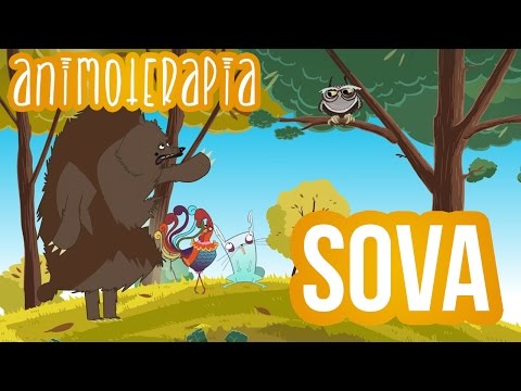 Video: Jsou sovy hloupí ptáci?