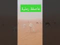 هناك عاصفة رملية 