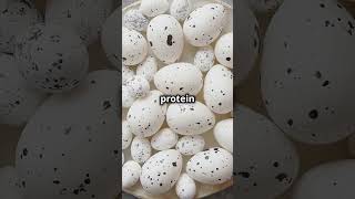 Brown Speckled Eggs Vs Blue Green Eggs..