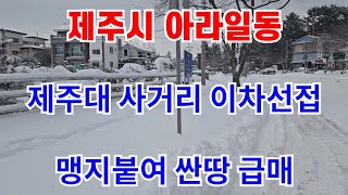 제주시 아라일동 3800평 제주대 사거리 이차선접 맹지붙여 싼땅 급매 맹지아님 010 4436 0401 제주도부동산 토지 매매  급매물