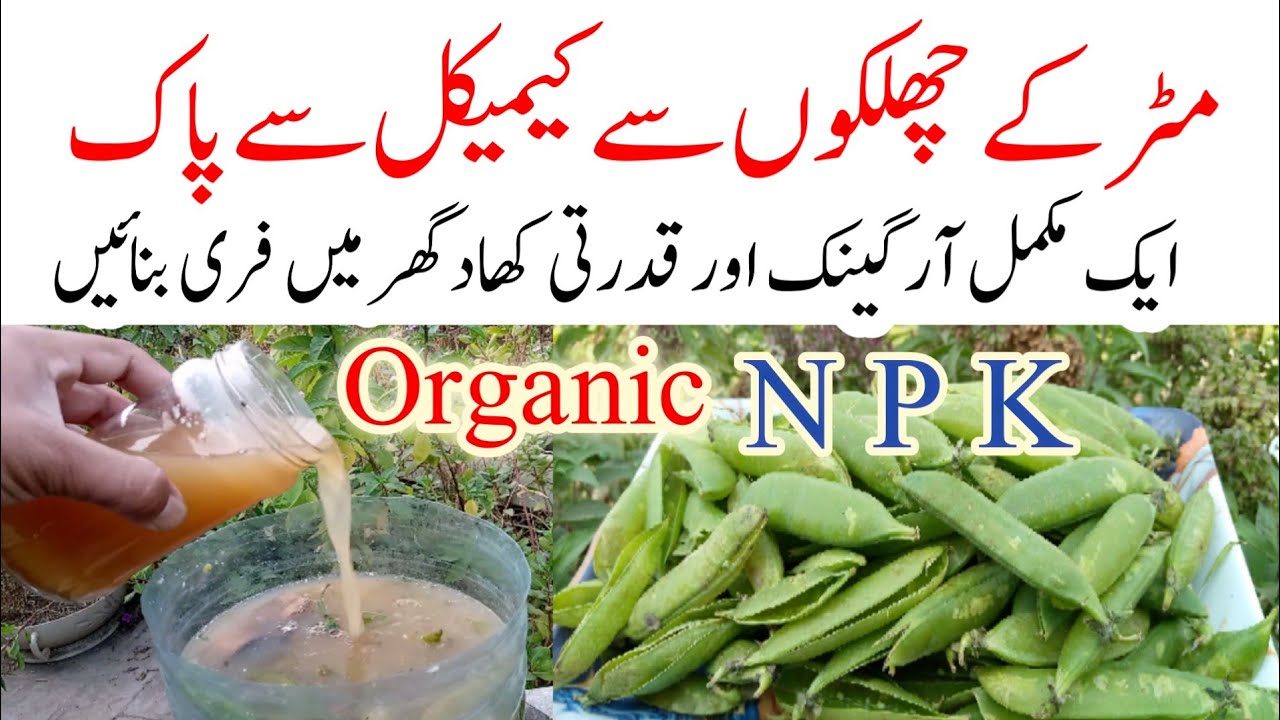 How to make organic fertilizer at home|Homemade organic fertilizer for all plant|Desi khad for plant