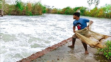 Unbelievable Cast Net Fishing - Fisherman vs River Catch Netting 2023