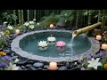 Relaxing Piano & Water Sounds | Peaceful Ambience for Meditation, Spa, Sleep & Deep Stress Relief
