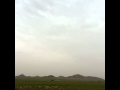 ربيع القنفذه بلاد حرب 1453