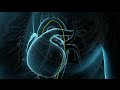 Coronary Angioplasty Surgery | Balloon Angioplasty | Nucleus Health