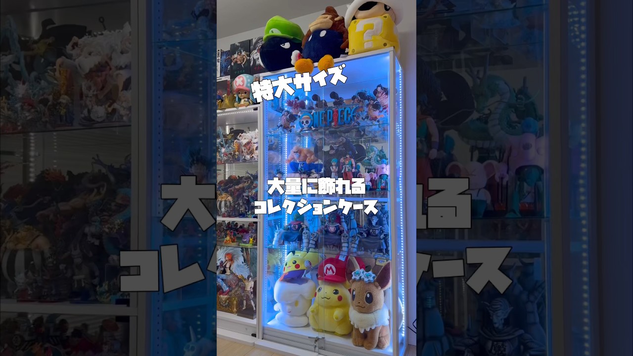 最大級のコレクションケース！たくさんフィギュア飾りたい方におすすめ！ワンピース 、ドラゴンボールフィギュア飾ってみた！ #ワンピースフィギュア #ドラゴンボールフィギュア #一番くじ #フィギュア