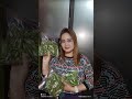 Hawaimubi Frozen Da Thambagi Video Yengbiro Mayam