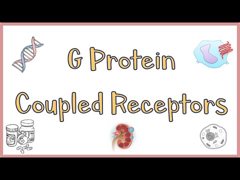 Video: Ce este receptorul proteinei AG?