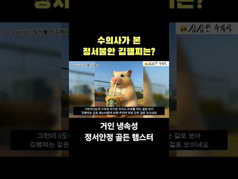 수의사가 본 정서불안 김햄찌는?#김햄찌 #햄스터