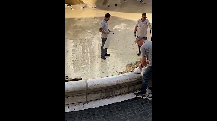 Guardate quanti soldi lasciano i turisti nella Fontana di Trevi a Roma