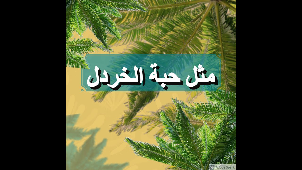 مثل حبة الخردل | الأخ وحيد برنامج الدليل الحلقة رقم 359