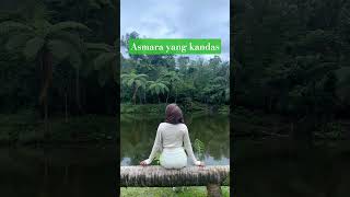 asmara yang kandas #coversong #lagu #cinta #hiburan #cover #catatanmotivasi