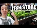 MY LOCAL AQUARIUM FISH STORE TOUR - UPDATE