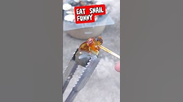 Ăn Ốc Bưu Đen Nướng Sa Tế Sò Điệp Cực Ngon | Eat Snail #food #snail#ốc #shorts