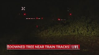 Downed tree near train tracks causes issues in Tyler