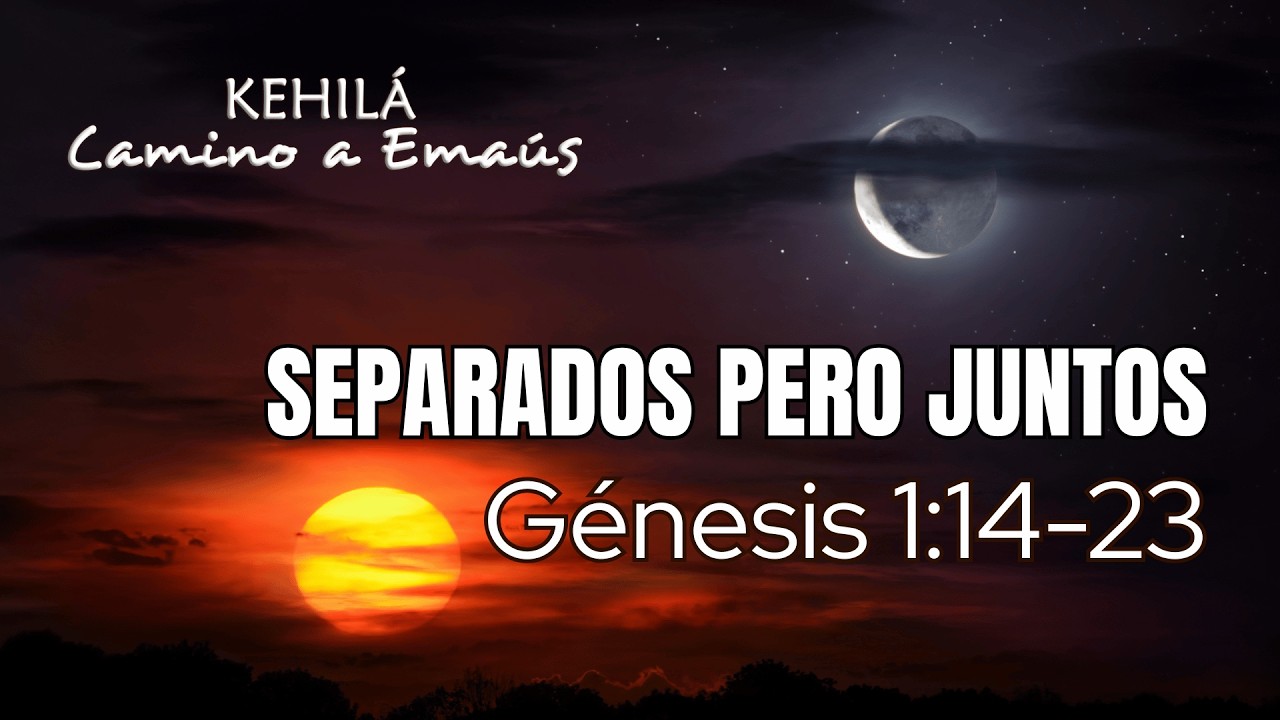 Génesis 1:14-23 | Separados pero juntos, dia 4 y 5