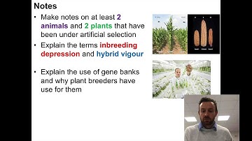 Artificial Selection (OCR A Level Biology 6.2.12)
