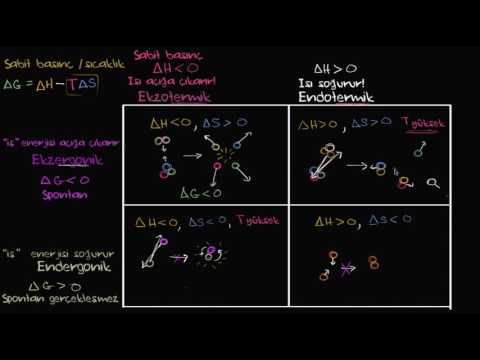 Video: Ekzergonik ve endergonik reaksiyonlar nelerdir?