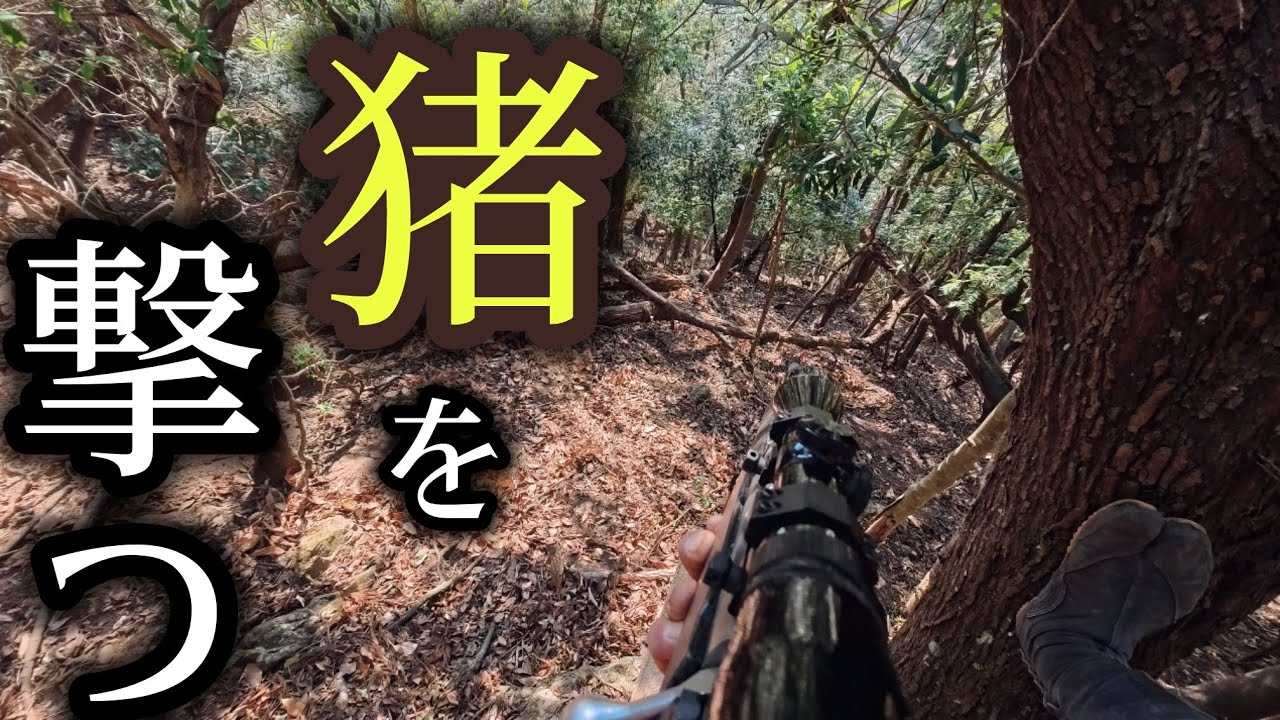 51 「 1人山歩き 」 - YouTube