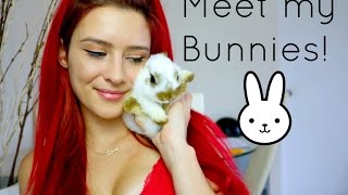 Meet my bunnies! / AsmrwithAllie