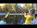 ВЛОГ Ярослава ловит рыбу - Прогулка в парке - Видео для детей | Tiki Taki Kids