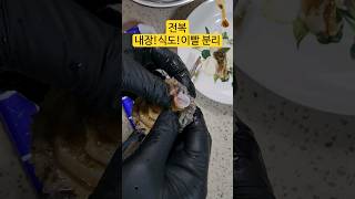 #전복이빨 #전복식도 #전복내장 #전복손질하기 #생물시간 #강화도채여사 #shorts