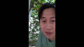 Secrets of planting and grow bitter gourd at home/Paano ba talaga magtanim ng Ampalaya?