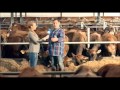 Реклама Вкуснотеево - "Родина вкусного молока"