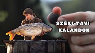 Széki-tavi kalandok