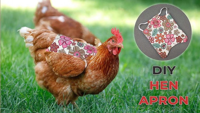 DIY Chicken Saddle - FREE Hen Apron Pattern - YouTube diy-chicken-saddle-free-hen-apron-pattern-youtube