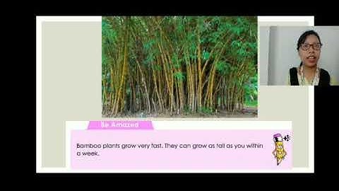 Class 1 (D & E) || Recapitulation of L 7 || EVS || 15.9.2020@SFS NARENGI