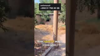 ПРОДАЖА: Дом 4 комнаты. 10 Соток земли в Центре ЧИРЧИК #атабеваинедвижемость #atabaevainedvijimost
