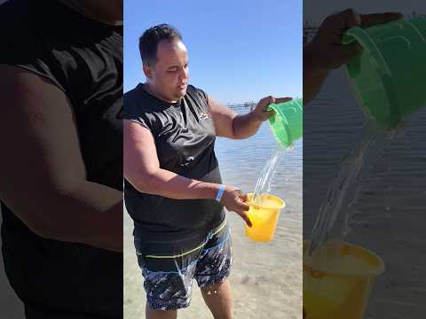 عملت سحر ليوسف عشان اصالحو  سويتز اكسبلور لمار    اهميه المراه