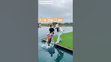 gái xinh lôi cá mũ bằng tay không làm anh cần thủ gồi gần kinh ngạc và cái kết #cauca #fishing