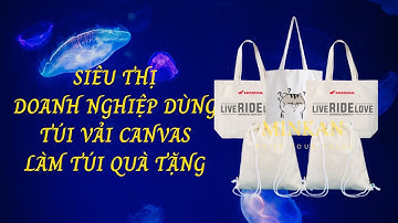 Túi Vải Bố Canvas cho Siêu Thị, Doanh Nghiệp Dùng làm Túi Đựng Sản Phẩm, Túi Quà Tặng I #Minkan